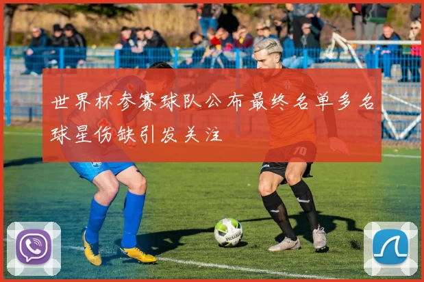 世界杯参赛球队公布最终名单多名球星伤缺引发关注