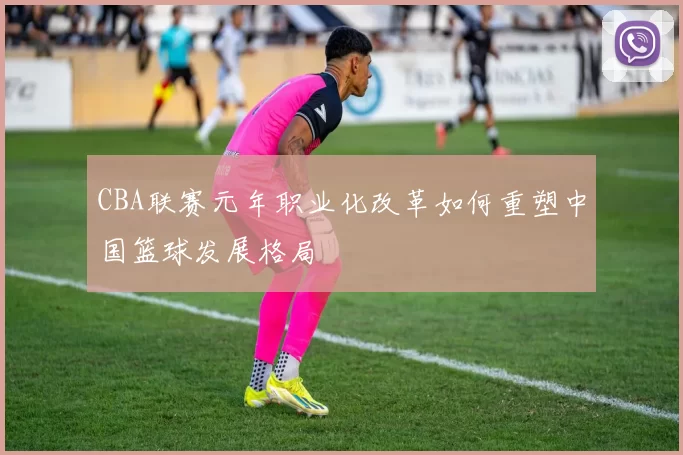 CBA联赛元年职业化改革如何重塑中国篮球发展格局