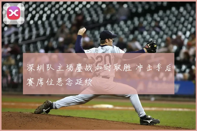 深圳队主场鏖战加时取胜 冲击季后赛席位悬念延续