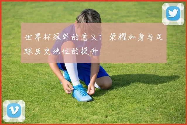 世界杯冠军的意义：荣耀加身与足球历史地位的提升